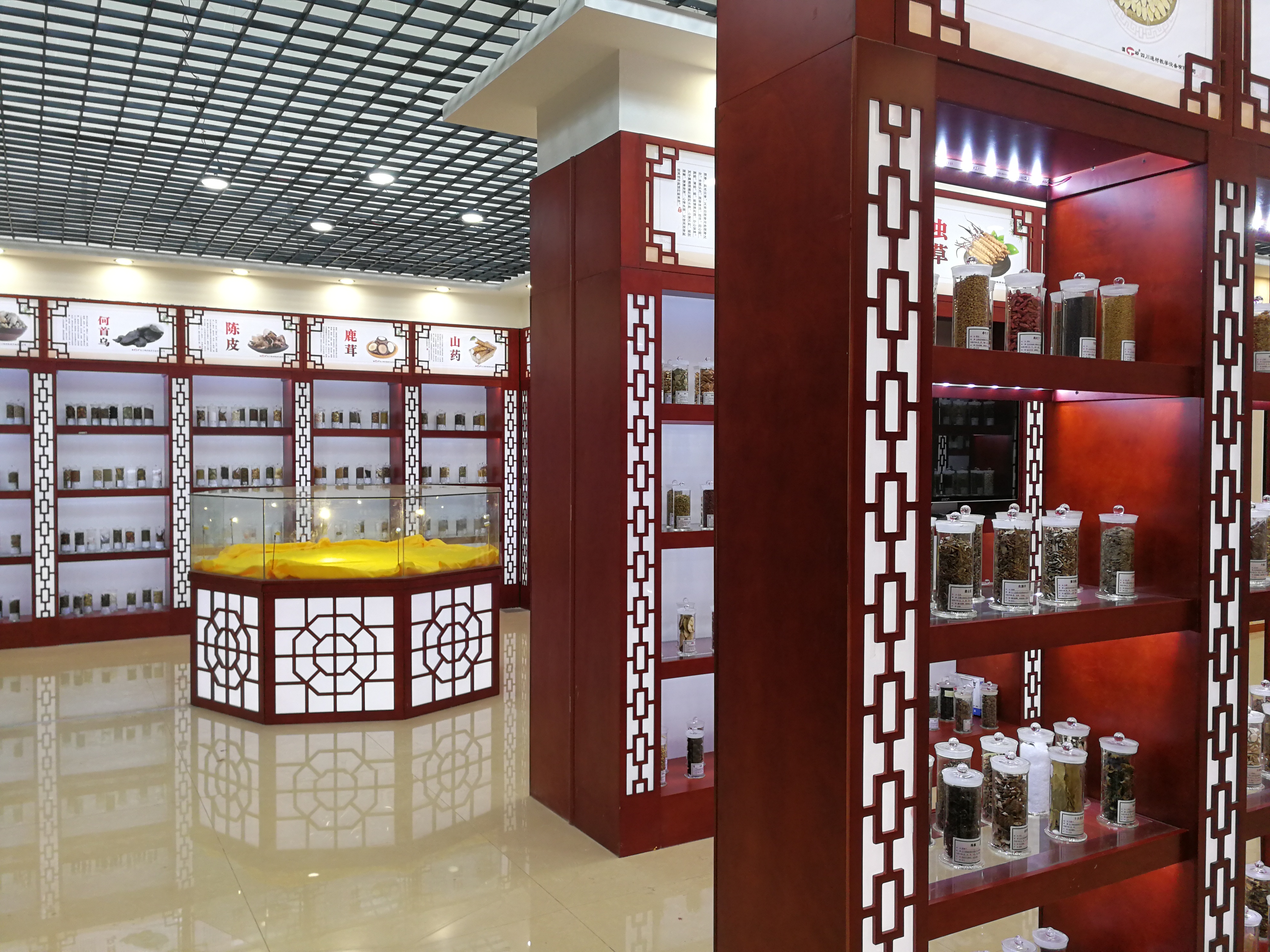 某中醫(yī)學(xué)院中醫(yī)藥館整體建設(shè)